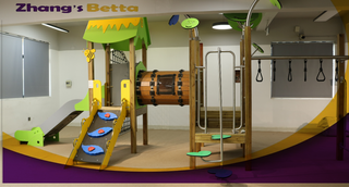 Bettaplay Outdoor Kids Wooden Playground Equipment PE Board Slide