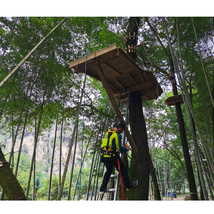Fabricante profesional de parques de aventuras, constructor de proyectos de saltos de aventuras en la jungla - Pokiddo Exploration Technology